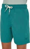 Шорты O'NEILL VERT SWIMSHORTS 4800106-15097 р. 176 зеленый
