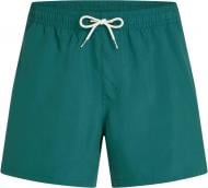 Шорти O'NEILL BEACH 15" SWIMSHORTS 2800266-15097 р. 2XL зелений