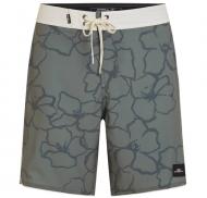 Шорты O'NEILL HYPERFREAK MYSTO SCALLOP 19" BOARDSHORTS 2800232-36105 р. 30 хаки