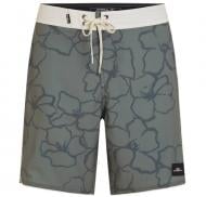 Шорты O'NEILL HYPERFREAK MYSTO SCALLOP 19" BOARDSHORTS 2800232-36105 р. 32 хаки