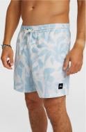 Шорты O'NEILL PRINT 16'' SWIMSHORTS 2800252-31052 р. L голубой
