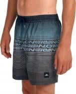 Шорты O'NEILL LOGO STRIPE 16'' SWIMSHORTS 2800259-29039 р. L зеленый