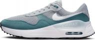 Кроссовки мужские демисезонные Nike AIR MAX SYSTM DM9537-006 р.44 серые