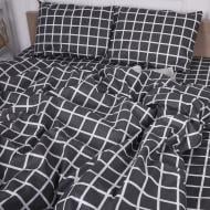 Наволочка Microsatin Premium 15-0344 Romualdo 40x40 см мульти MirSon