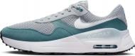 Кроссовки мужские демисезонные Nike AIR MAX SYSTM DM9537-006 р.47,5 серые