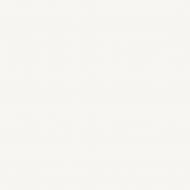 Фарба акрилова Feidal Latex Premium глибокий мат тренд 33 NCS S 0601-Y 4,5 л