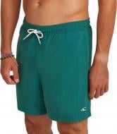 Шорты O'NEILL VERT 16'' SWIMSHORTS 2800264-15097 р. XL зеленый