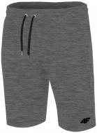 Шорти 4F H4L19-SKMD001-23M р. 2XL темно-сірий