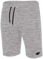 Шорти 4F H4L19-SKMD001-27M р. S світло-сірий