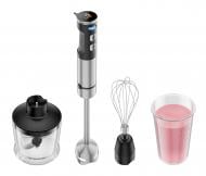 Блендер заглибний HausMark HBS-12005L