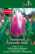 Луковица KrassIVA тюльпан Synaeda Blue 2 шт.