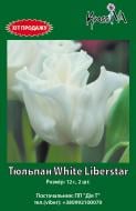 Луковица KrassIVA тюльпан White Liberstar 2 шт.