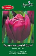 Луковица KrassIVA тюльпан World Bowl 2 шт.