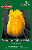 Цибулина KrassIVA тюльпан Yellow Fabio 2 шт.