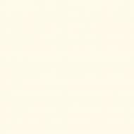 Краска латексная Feidal Mattlatex мат тренд 53 NCS S 0603-Y20R 10 л