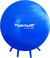 М'яч для фітнесу Tunturi з ручками Sit Ball Anti-Burst d65 14TUSFU269