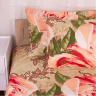 Наволочка Microsatin Premium 15-0365 Hermes 70x70 см мульті MirSon