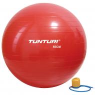 М'яч для фітнесу Tunturi Gym Ball d55 14TUSFU281