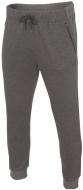 Брюки 4F H4L19-SPMD004-24M р. XL серый