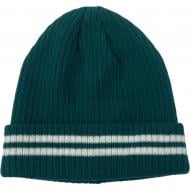 Шапка HW для мальчиков р.52-54 темно-зеленый