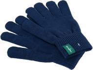 Рукавицы HW для мальчиков р.16 /синий