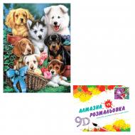 Картина по номерам 2 в 1 Алмазная мозаика + раскраска 40х50 см CY2253