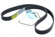 Ремень поликлиновый RENAULT 117203866R F8DB23 черный