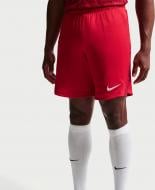 Шорты Nike TUR M NK DF SHORT STAD H/A IO8856-614 р. XL красный