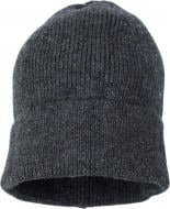 Шапка HW детская р.54-56 серый