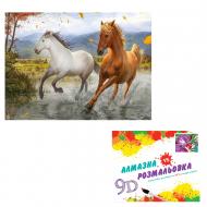 Картина по номерам 2 в 1 Алмазная мозаика + раскраска 40х50 см CY2307