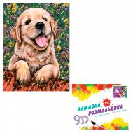 Картина по номерам 2 в 1 Алмазная мозаика + раскраска 40х50 см CY2323