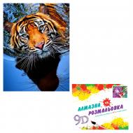 Картина по номерам 2 в 1 Алмазная мозаика + раскраска 40х50 см CY2328