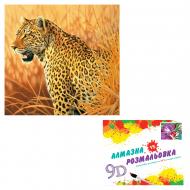 Картина по номерам 2 в 1 Алмазная мозаика + раскраска 40х50 см CY2331