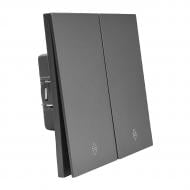 Выключатель проходной двухклавишный HausMark INO без подсветки серый WS-2G-EU-Gray Выключатель проходной двухклавишный HausMark INO без подсветки серый WS-2G-EU-Gray