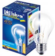 Лампа накаливания Іскра А50 40 Вт E27 230 В прозрачная (Iskra Б 230-40-TS-А50 Е27*100)