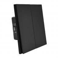 Выключатель двухклавишный HausMark INO без подсветки черный LS-2G-EU-Black