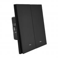 Выключатель двухклавишный HausMark INO с подсветкой черный LS- 2G LED-EU-Black