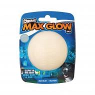 Мяч CHUCKIT сияющий в темноте для собак (размер М)