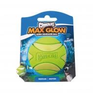 Мяч с пищалкой CHUCKIT и сияющими в темноте фрагментами для собак (размер М)