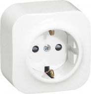 Розетка с заземлением Legrand Forix 2К+З 16А без шторок без крышки белый 782411