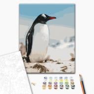 Картина за номерами Головний сусід українських полярників ©Сергій Глотов 40x50 см Brushme