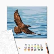 Картина за номерами Політ південнополярного поморника ©Сергій Глотов 40x50 см Brushme