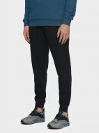 Брюки 4F NOSD4-SPMD301-31S р. XL серый