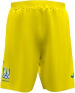 Шорты Joma FED. FUTBOL UCRANIA AT102024A907 р. XL желтый