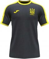 Футболка Joma FED. FUTBOL UCRANIA AT102362B159 р.XL сірий