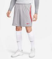Шорты Nike LFC DF STRK SHORT KZ KS DR4663-084 р. S серый