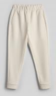 Брюки 4F TROUSERS CAS F1923 4FWAW26TTROF1923-11S р. L белый