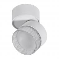 ВИТРИНА! Спот Hopfen STARK CL-1-CRISTAL SPT WH GX53 белый