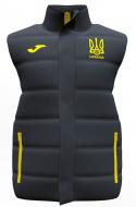 Жилет форми збірної України 2021 Joma FED. FUTBOL UCRANIA AT102373A159 р.M сірий