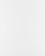 Боковина Грейд Белый глянец RAL9003 720х579 н/св топ модель R-1/ Альфа